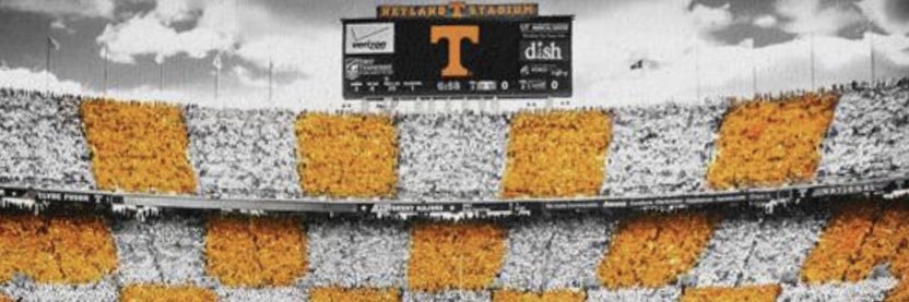 BigOrangeTints banner
