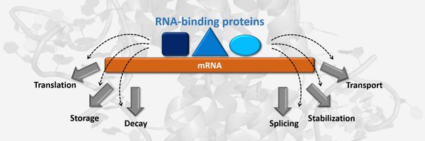 lab_nmr Profile Banner