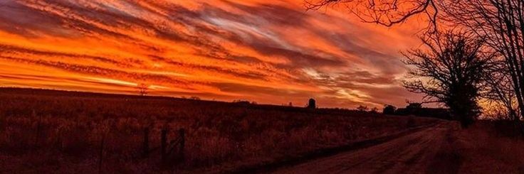 martina 🌟 lollo salvetti era banner