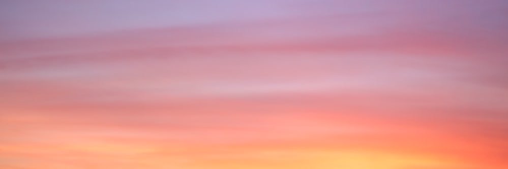 amberlynn___'s profile banner image