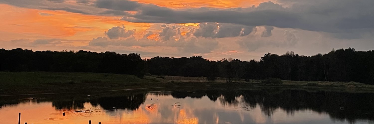 Amy for Trump🇺🇸🙏❤️ banner