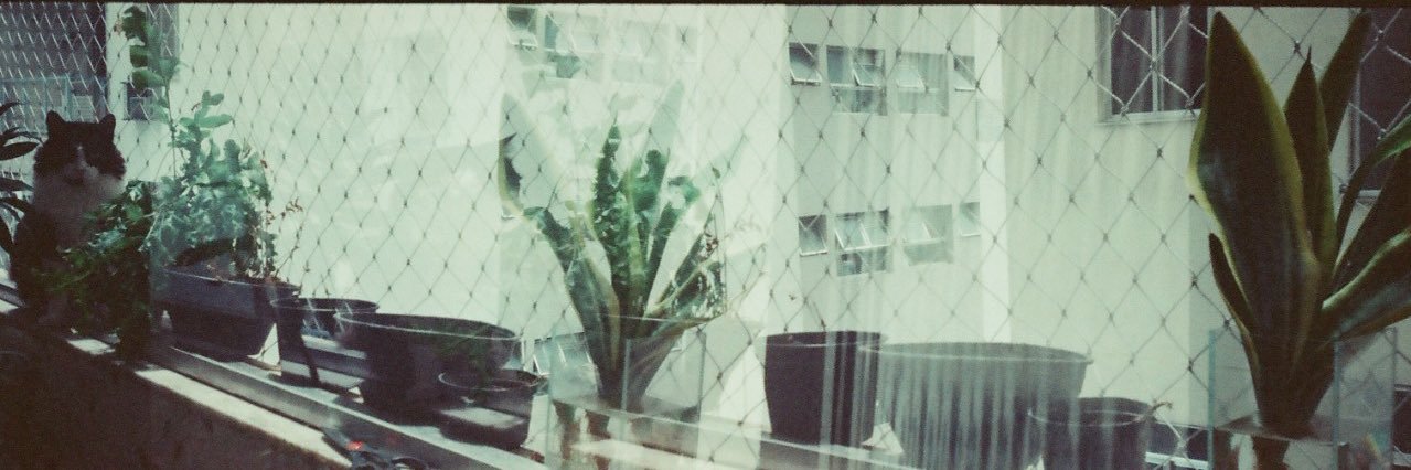 Lilymke_'s profile banner image