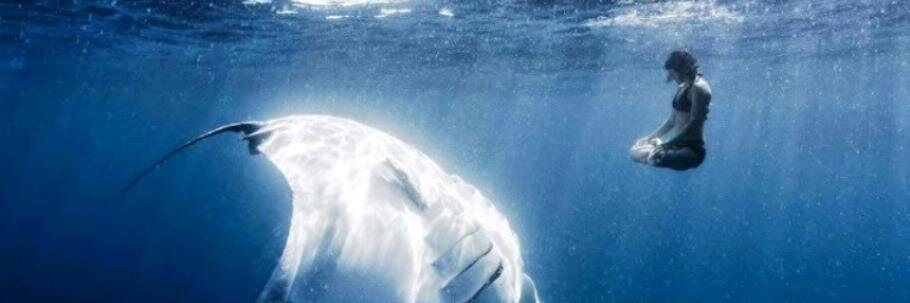 Valeriy Lizanets banner