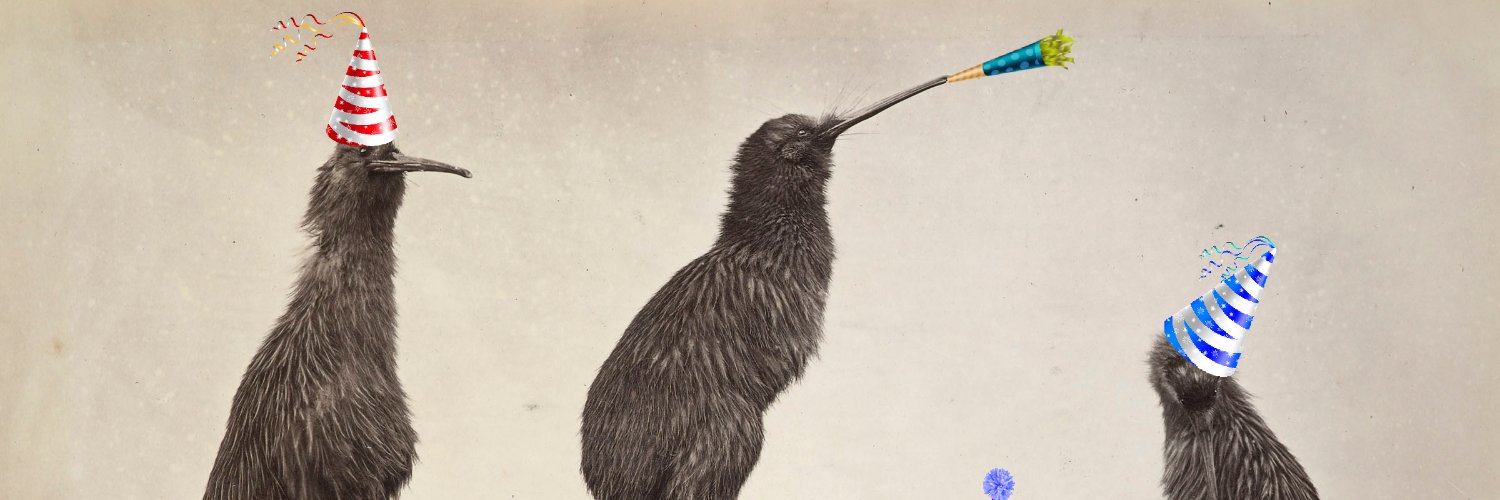 Kiwi Party banner