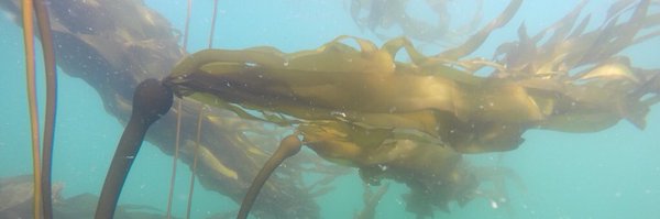 g__mckenna Profile Banner