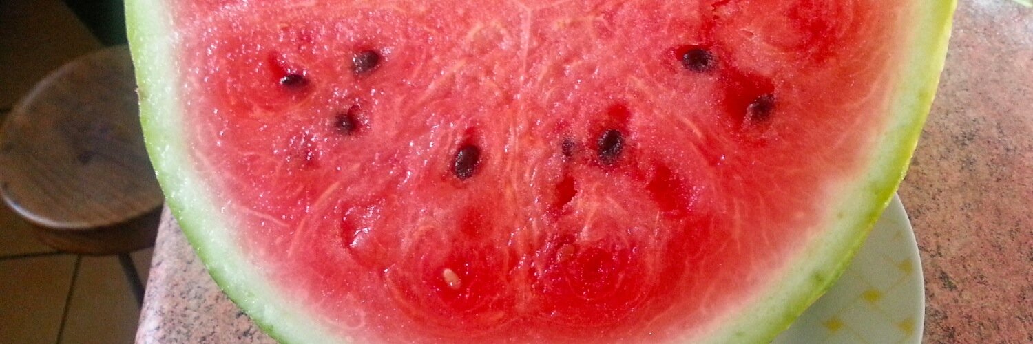 Vicky  Quevedo banner