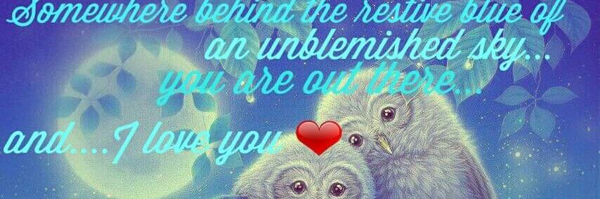 MisSingMe banner