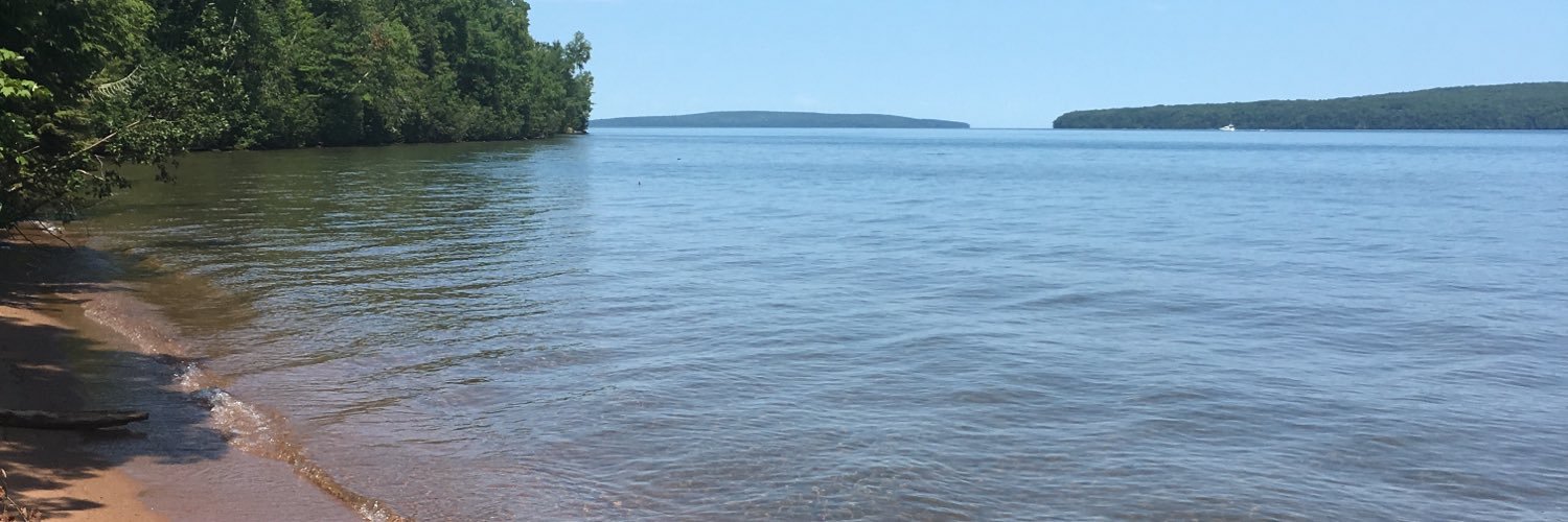 Michael Witgen banner