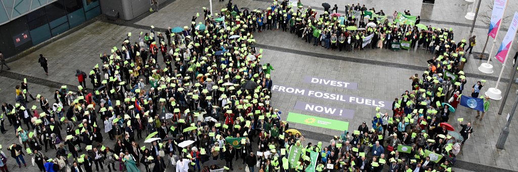 Louisa Greenbaum banner