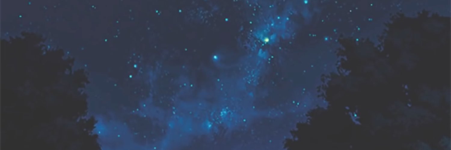 JackMi11er's profile banner image