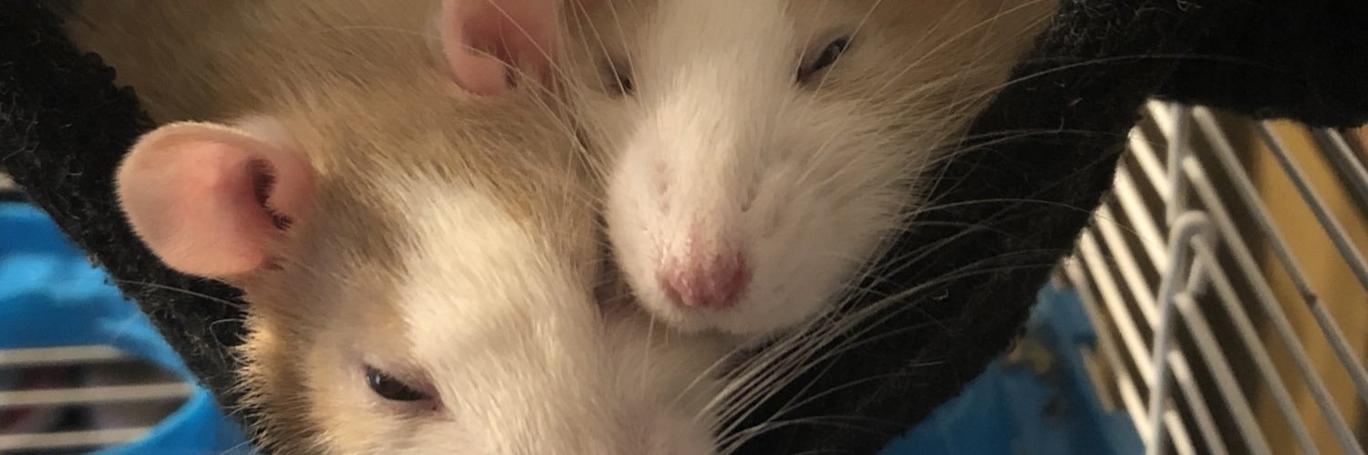 sbvrrett's profile banner image