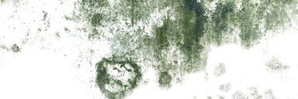 MansaBahia Profile Banner