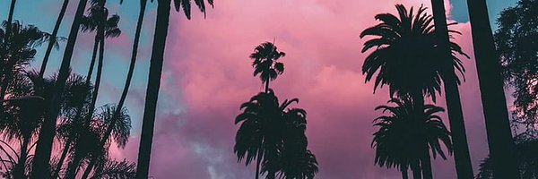 thejerdawg Profile Banner