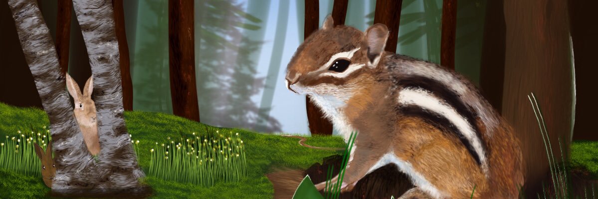 Davidmontgomry's profile banner image