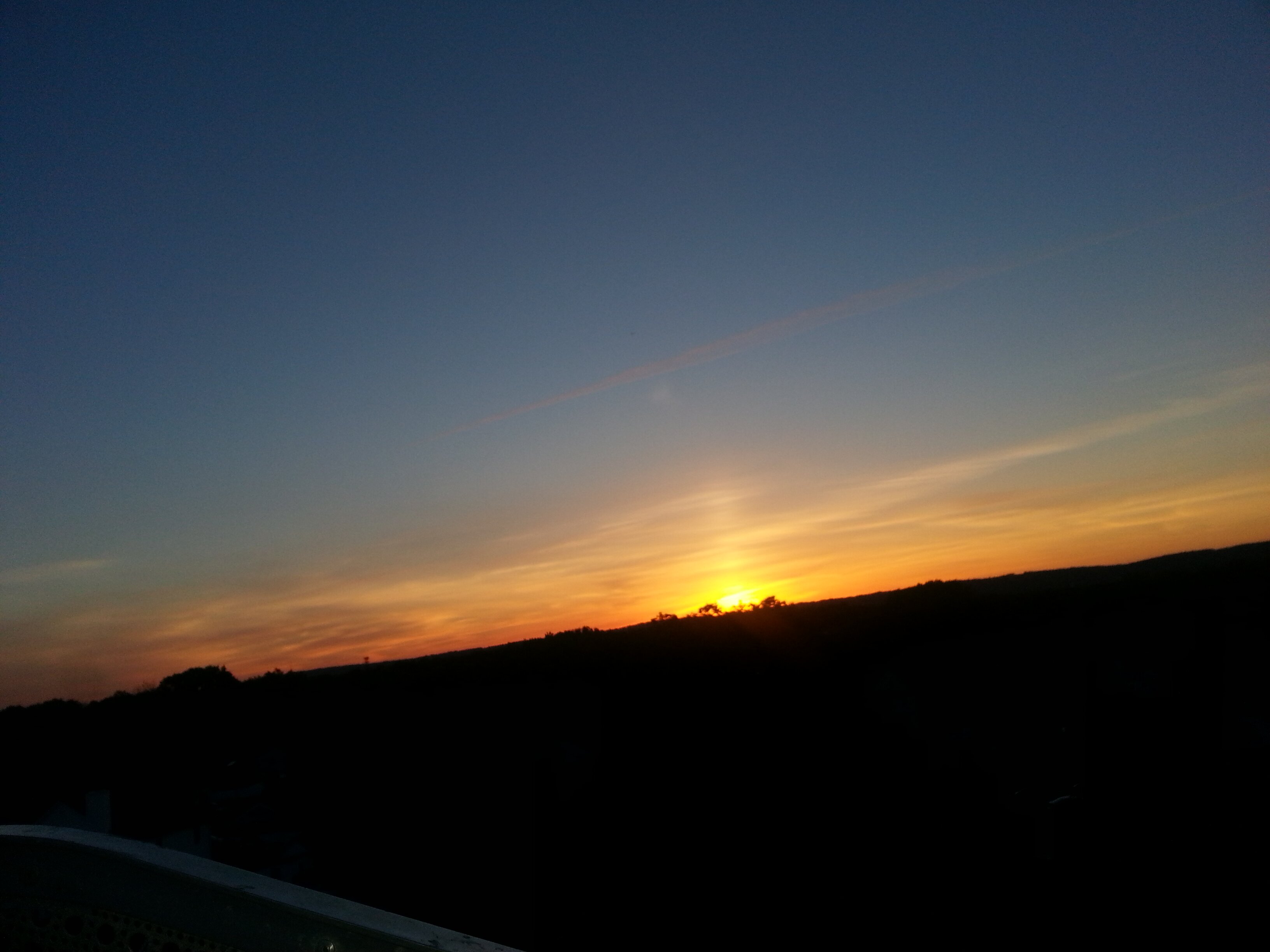 Tannese Williams banner