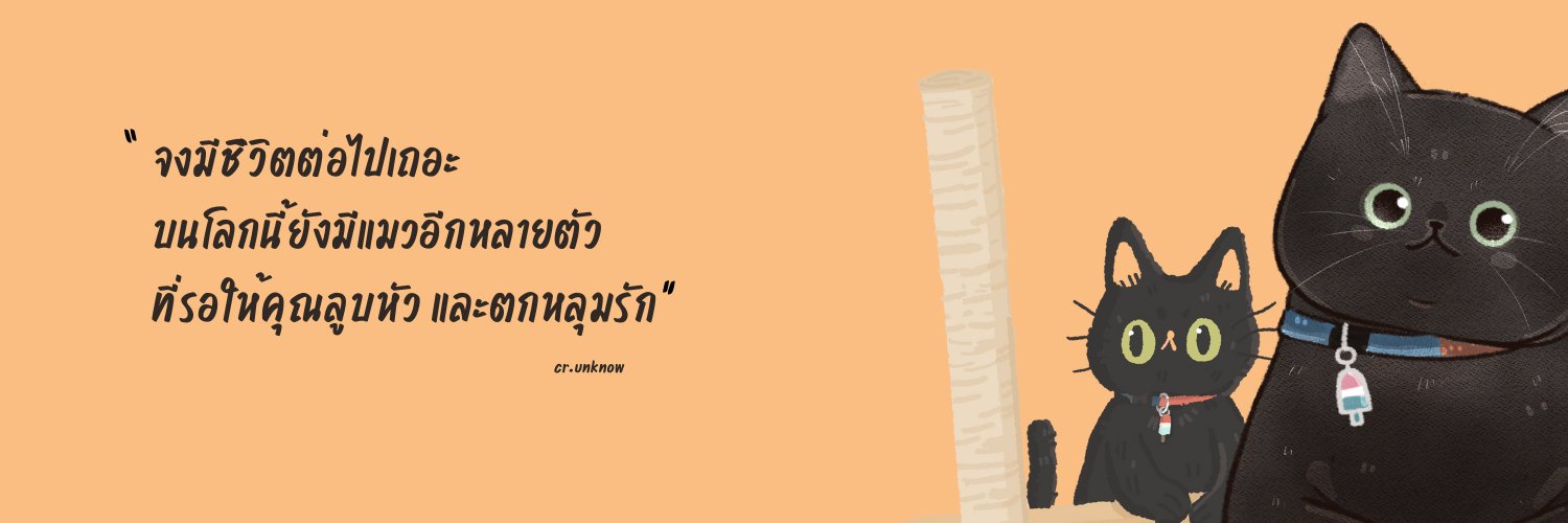 ไม่ควรมีแมวตัวไหนบนโลกใบนี้ต้องมาเป็นแมวจร banner