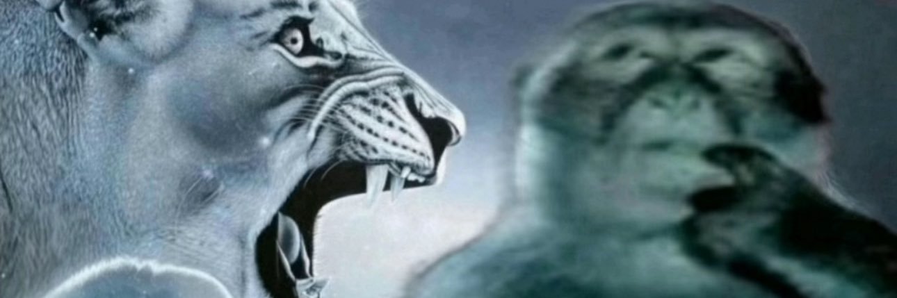 KitLee01's profile banner image