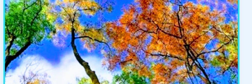 maritzadupont's profile banner image