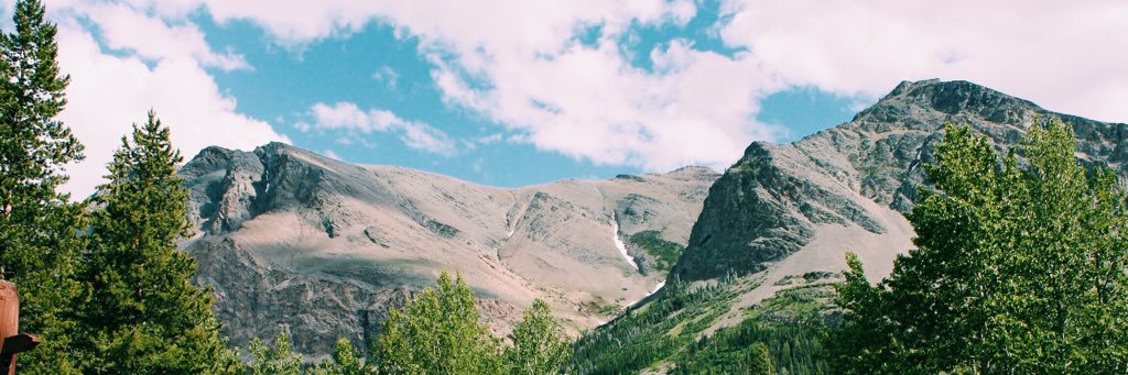 adlerashlee's profile banner image
