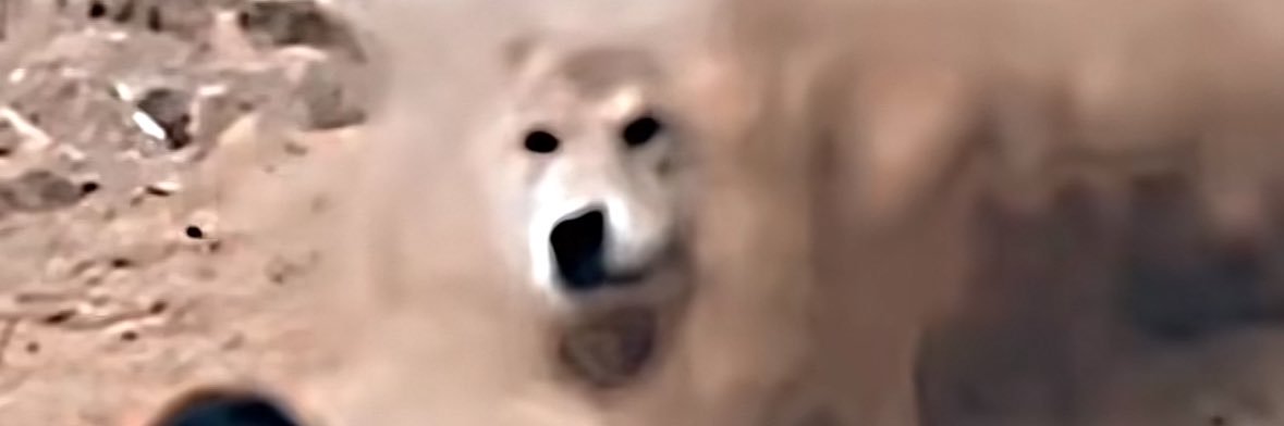 Niugememes's profile banner image