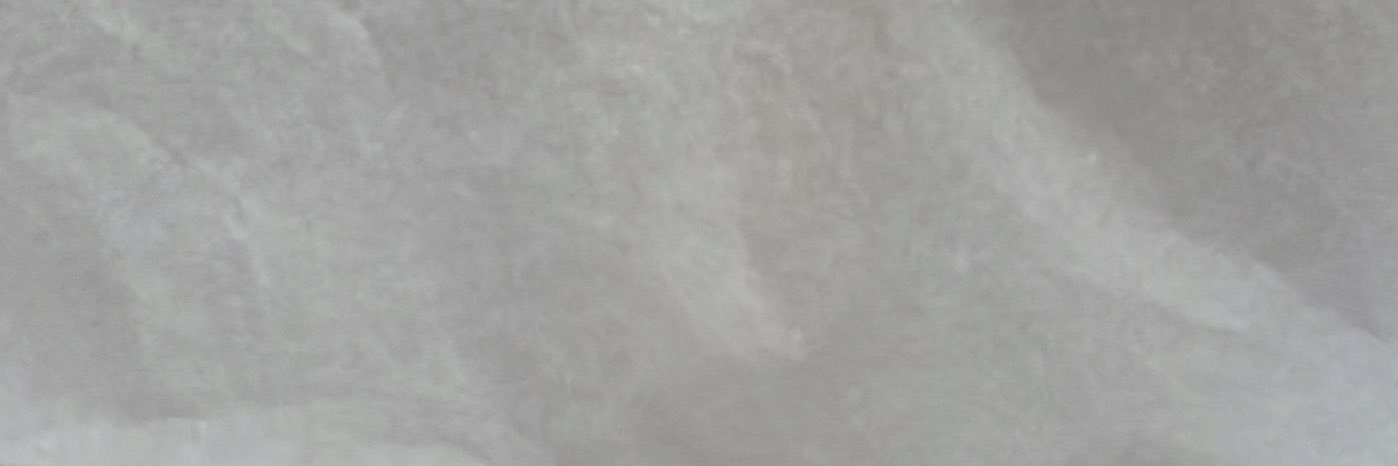seagreys's profile banner image