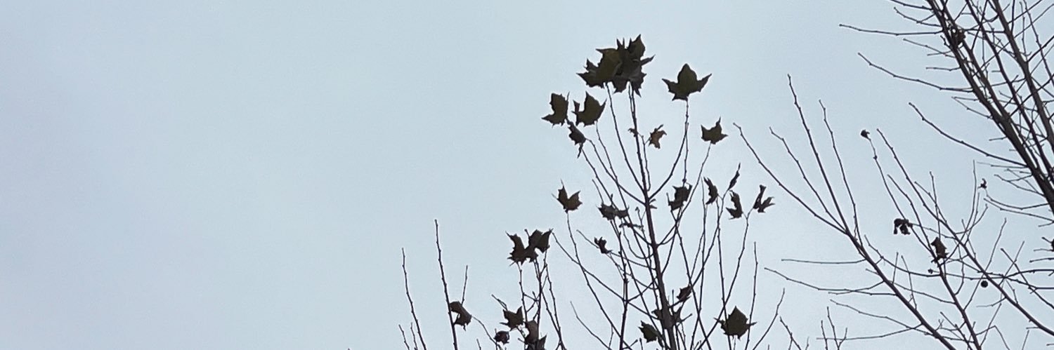 happy61758797's profile banner image