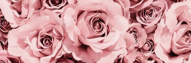valeboninoo's profile banner image