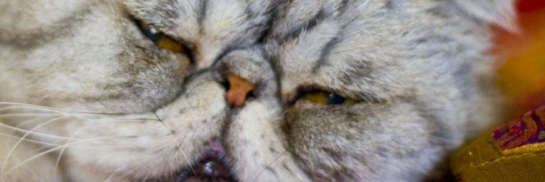 jerkaminski's profile banner image