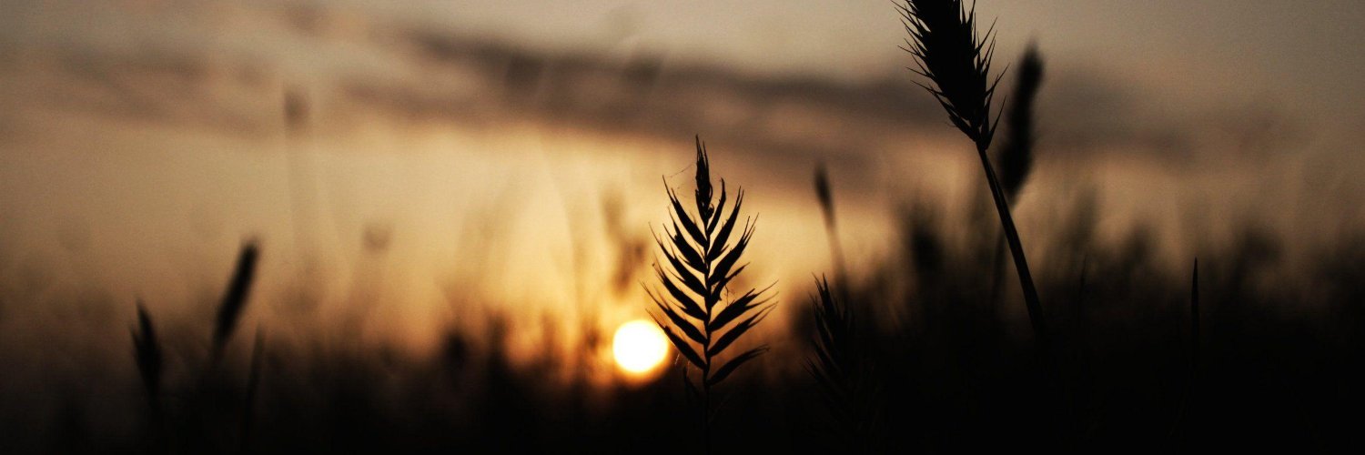 CryptonionZain's profile banner image