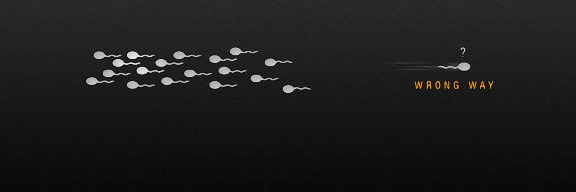 risus81's profile banner image