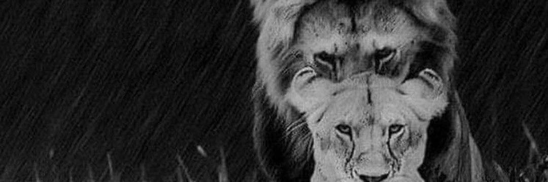 rafael_79's profile banner image