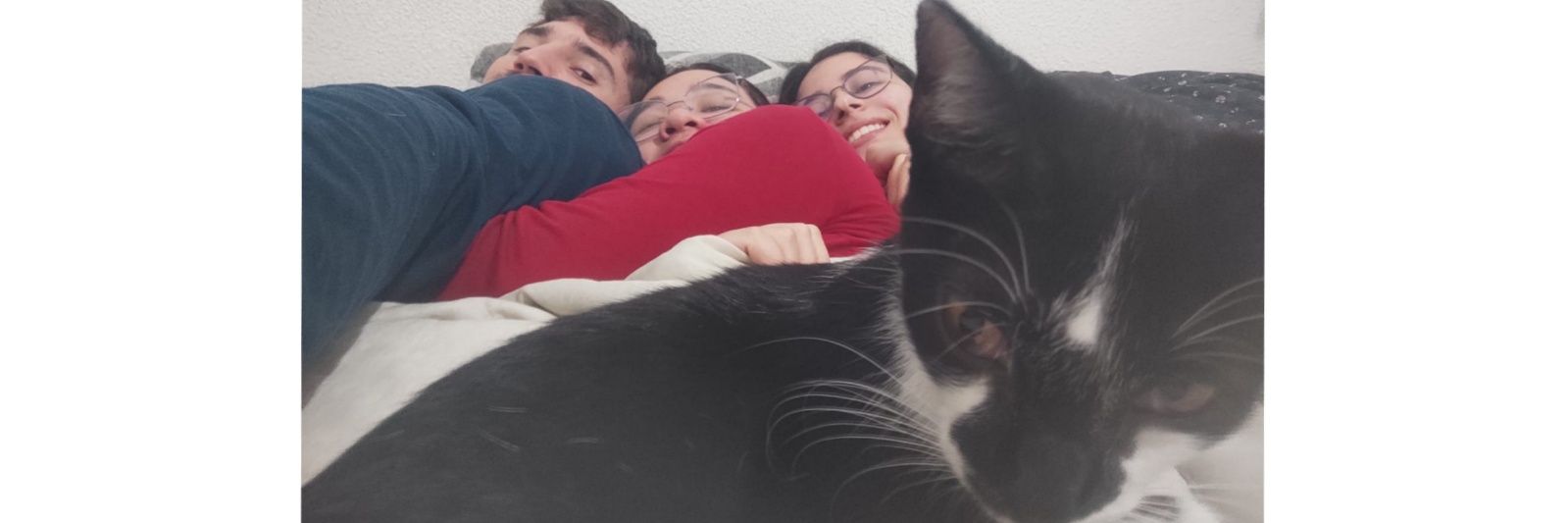 flamarcks's profile banner image