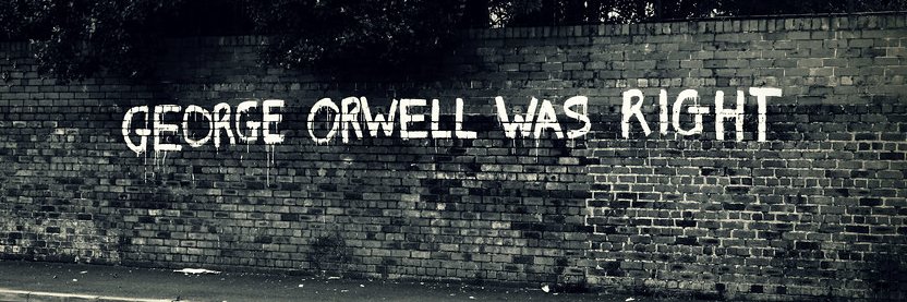 ROB GARGUILO banner