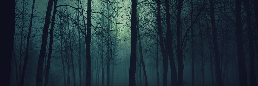 Dylan banner