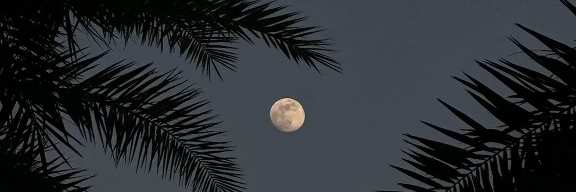 2258M's profile banner image