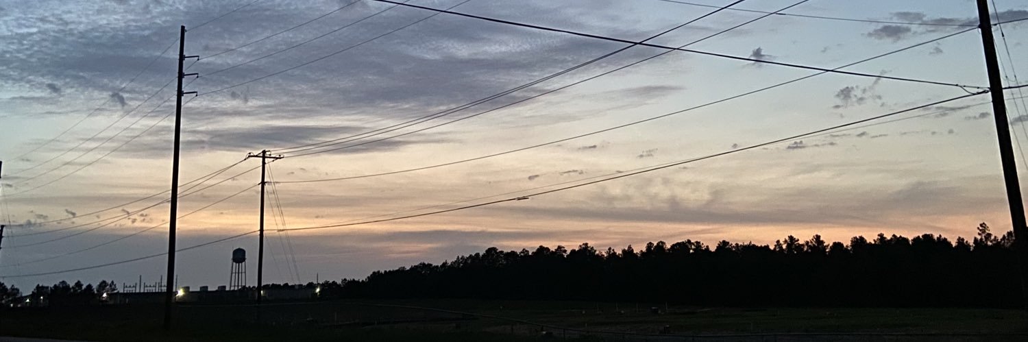 trashleehill's profile banner image
