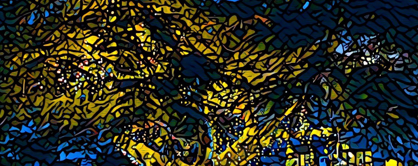 mas.to/@jaredmorgs banner