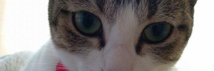 henrich's profile banner image