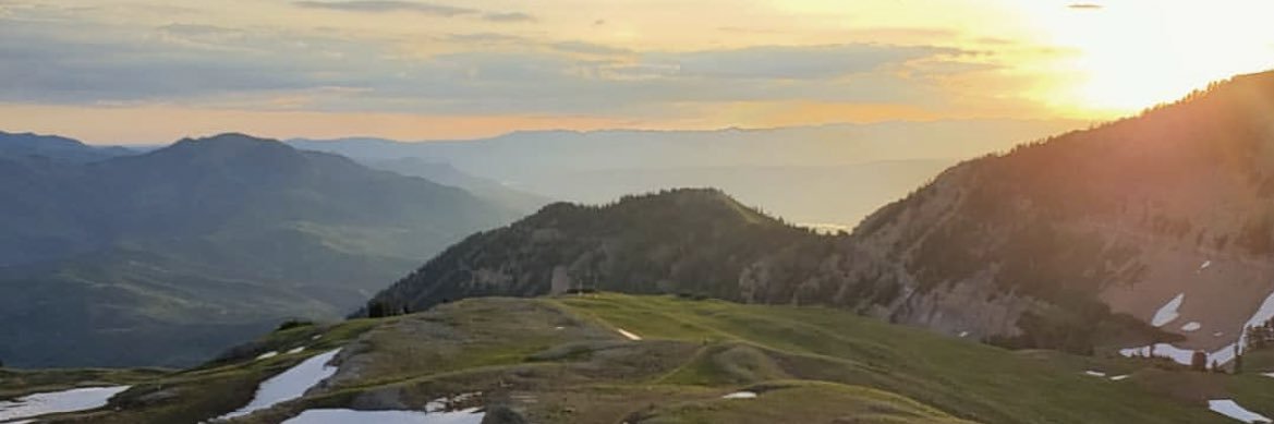 Brighton Alvey banner