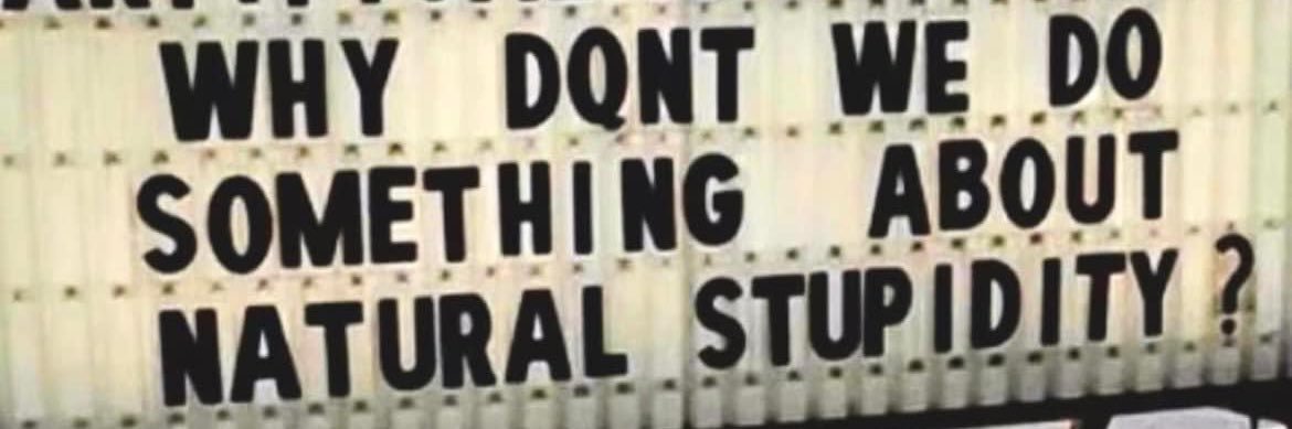 pifpaf75's profile banner image