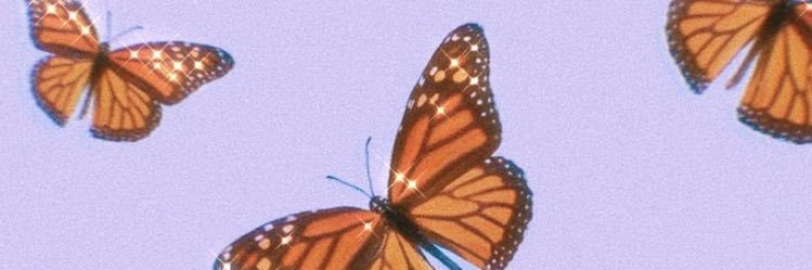 Shardayeee's profile banner image