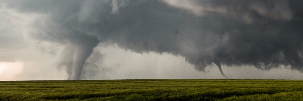 Taylor Wright banner