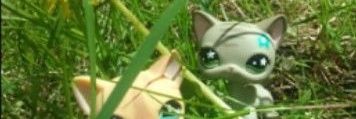 DROWNINGLESS0N's profile banner image