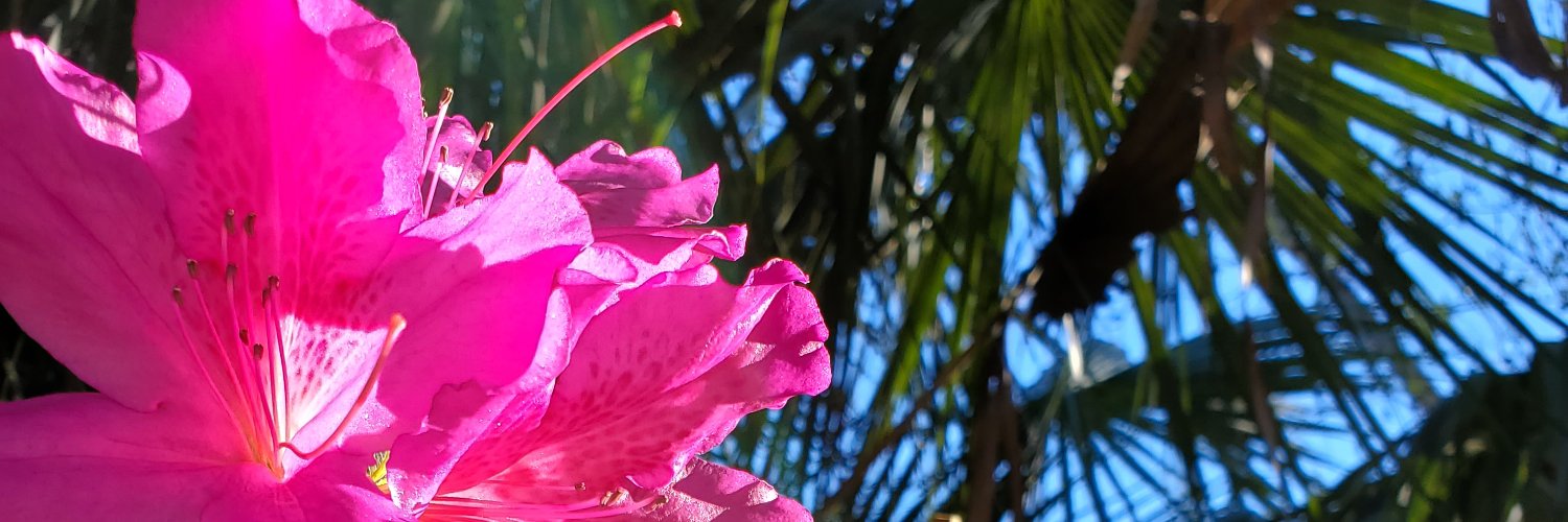 bw 🌊🌊🌊 🟦 🇺🇦 banner