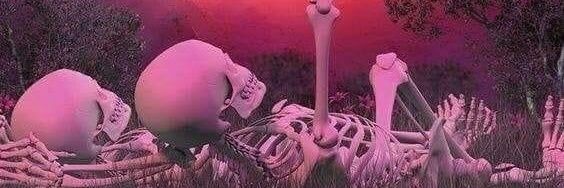 tlapota's profile banner image