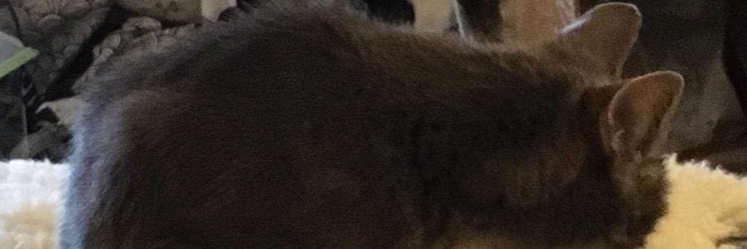 H banner