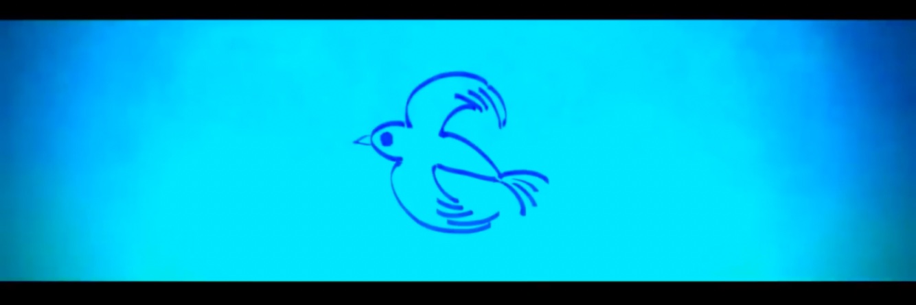 dittopajarito's profile banner image