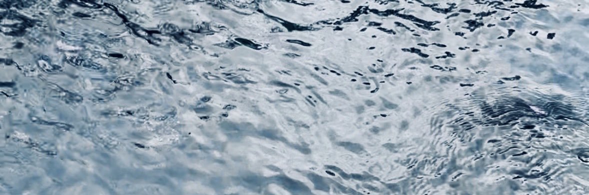 Noble. banner