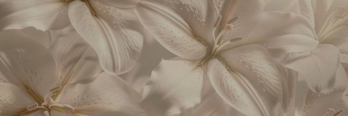 `🫧 banner