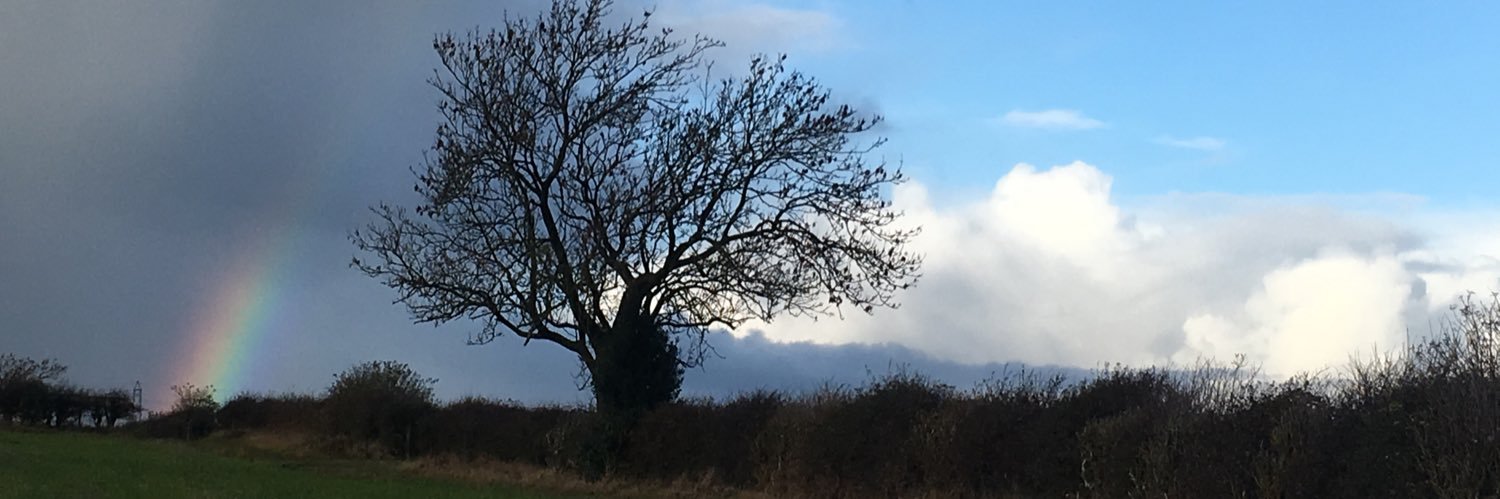cmz365's profile banner image